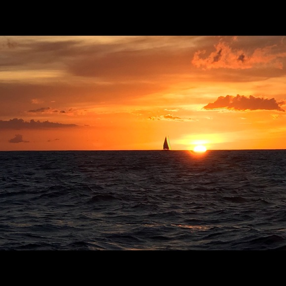 Meet your Posher, Jasmin - Picture 1 of 1